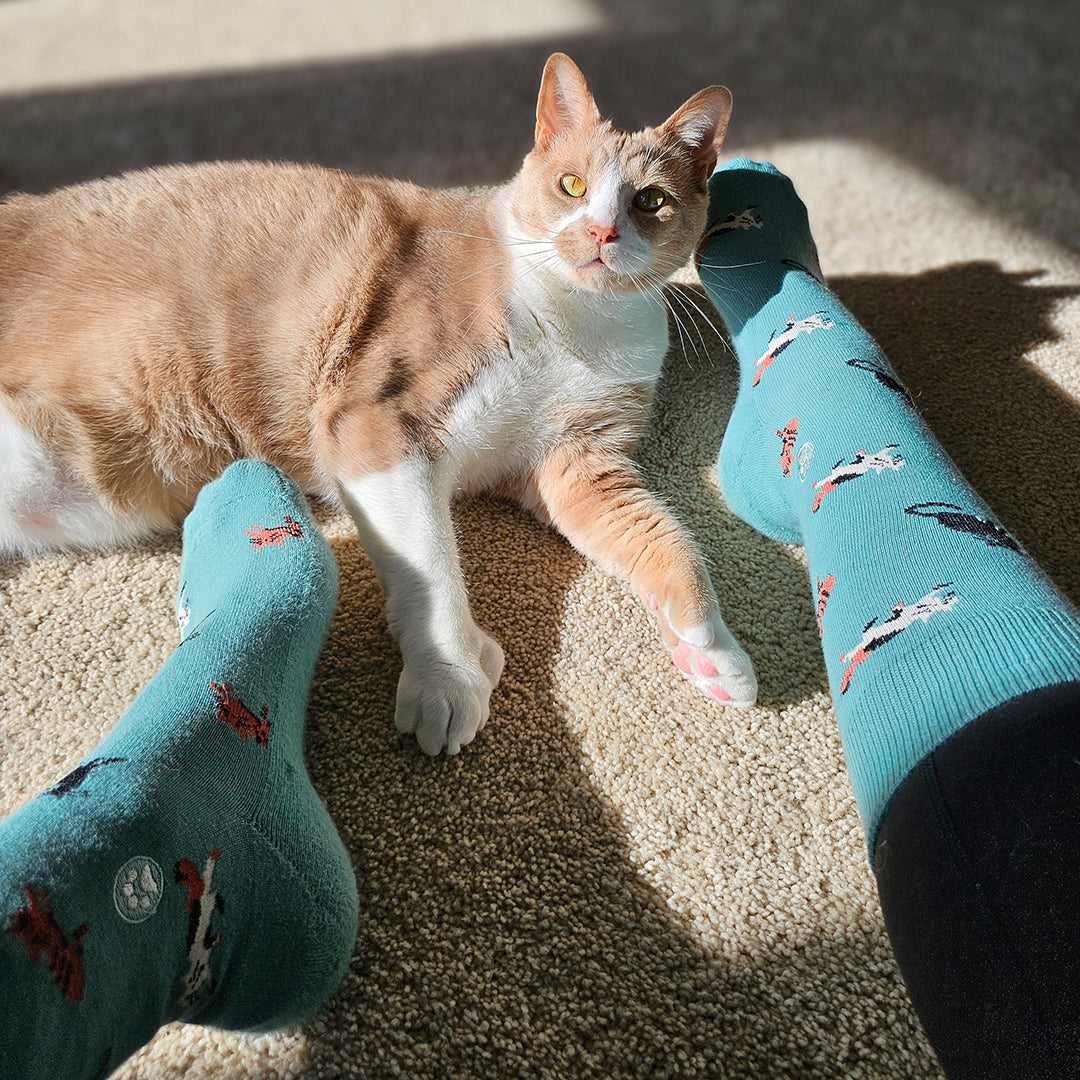 Save Cats Gift Box — 3-Pack Crew Sock Set | Black Cat, Frisky Cat & Cat Face | Organic Cotton - Spinsterly Co