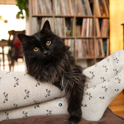 Save Cats Gift Box — 3-Pack Crew Sock Set | Black Cat, Frisky Cat & Cat Face | Organic Cotton - Spinsterly Co