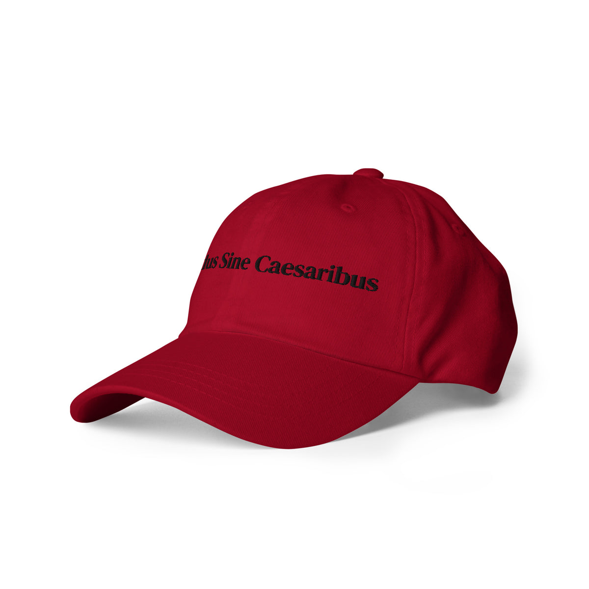 Mundus Sine Caesaribus Dad Hat | A World Without Caesars Embroidered Cap - Spinsterly Co