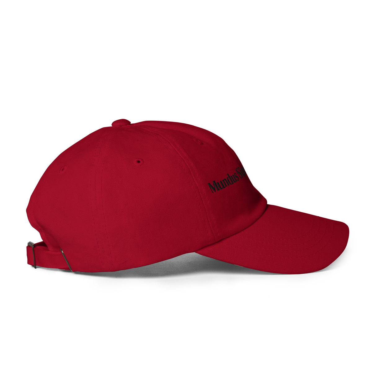 Mundus Sine Caesaribus Dad Hat | A World Without Caesars Embroidered Cap - Spinsterly Co