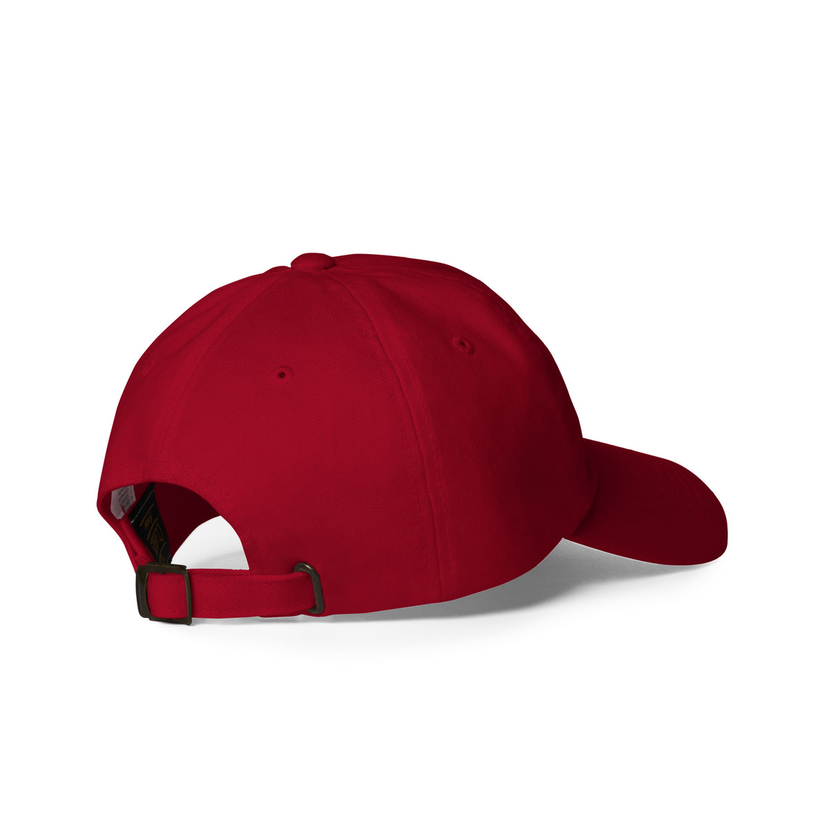 Mundus Sine Caesaribus Dad Hat | A World Without Caesars Embroidered Cap - Spinsterly Co