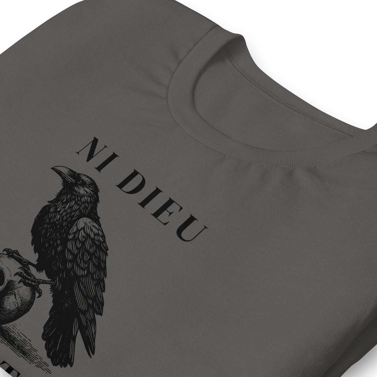 Ni Dieu Ni Maître T-Shirt | No God No Master Raven Skull Graphic Tee - Spinsterly Co