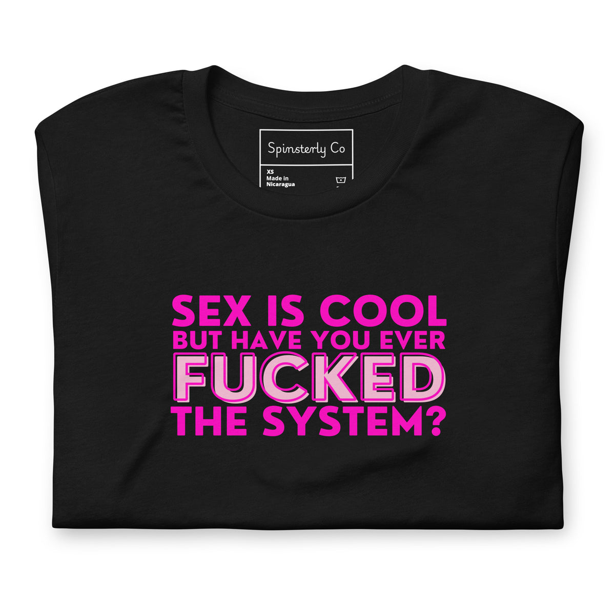 Sex Is Cool But Have You Ever F*cked the System Unisex T-Shirt | Funny Anarchist Graphic Tee - Spinsterly Co