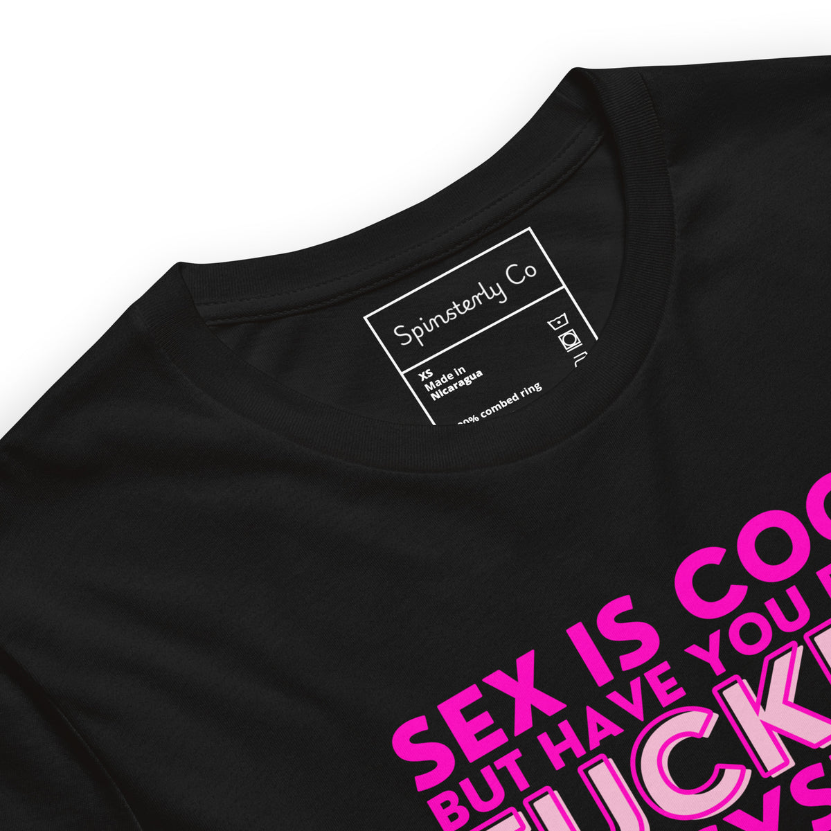 Sex Is Cool But Have You Ever F*cked the System Unisex T-Shirt | Funny Anarchist Graphic Tee - Spinsterly Co