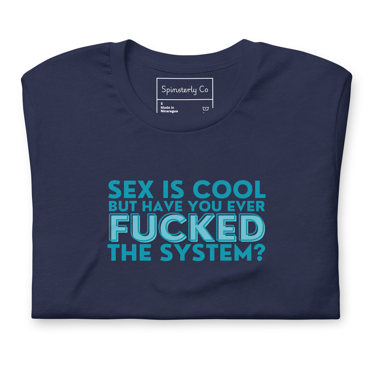 Have You Ever F*cked the System Retro Graphic T-Shirt | Funny Sarcastic Tee - Spinsterly Co