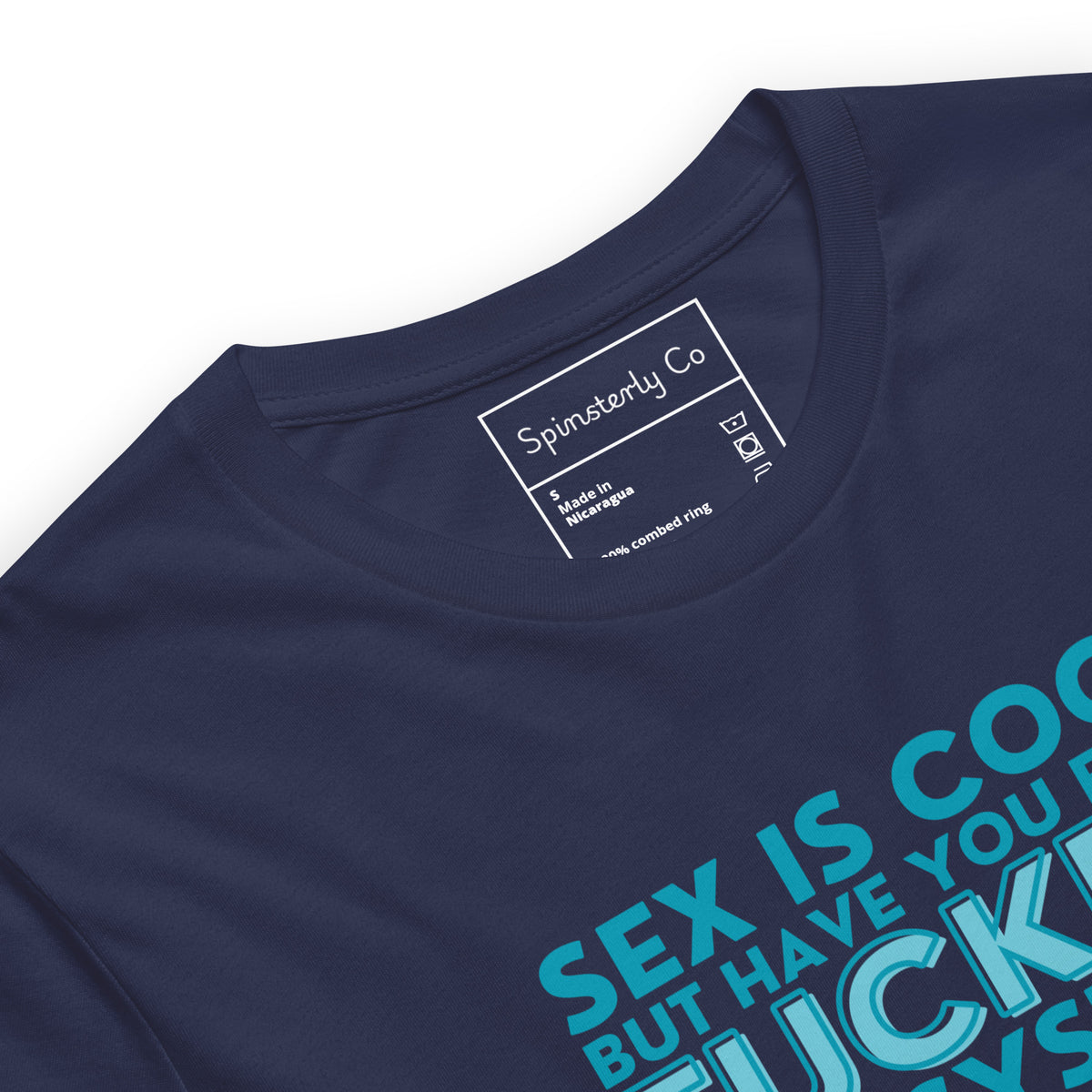 Have You Ever F*cked the System Retro Graphic T-Shirt | Funny Sarcastic Tee - Spinsterly Co