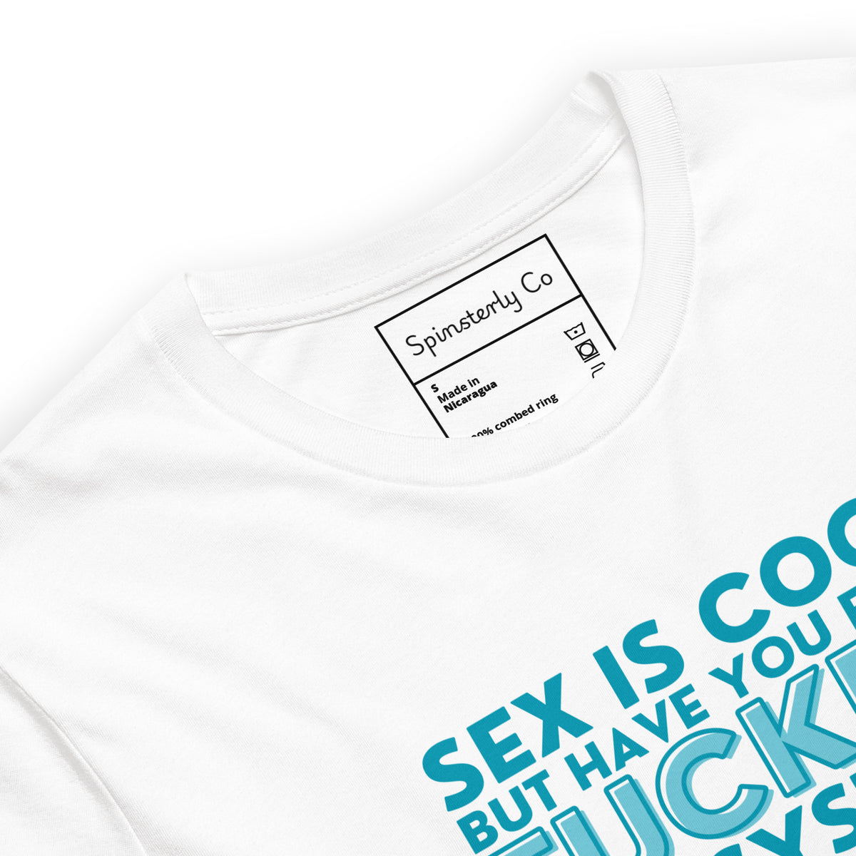Have You Ever F*cked the System Retro Graphic T-Shirt | Funny Sarcastic Tee - Spinsterly Co