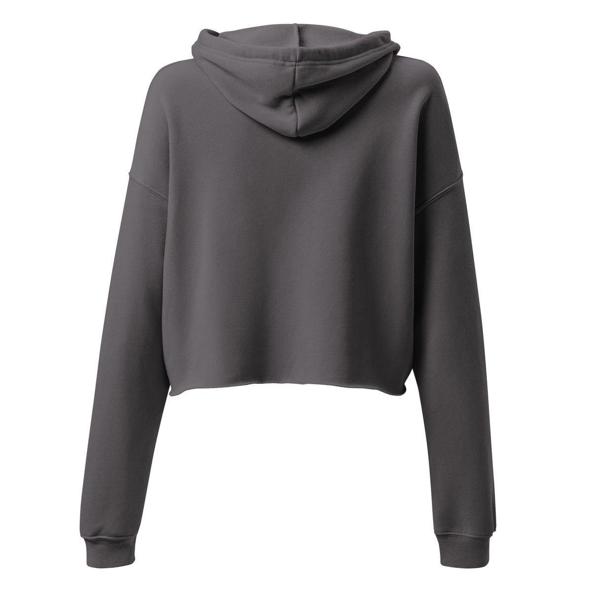 Big Book Energy Crop Hoodie | Bookish Graphic Cropped Sweatshirt - Spinsterly Co